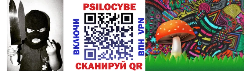 дарк нет телеграм  гидра как зайти  Мелеуз  Псилоцибиновые грибы мухоморы 