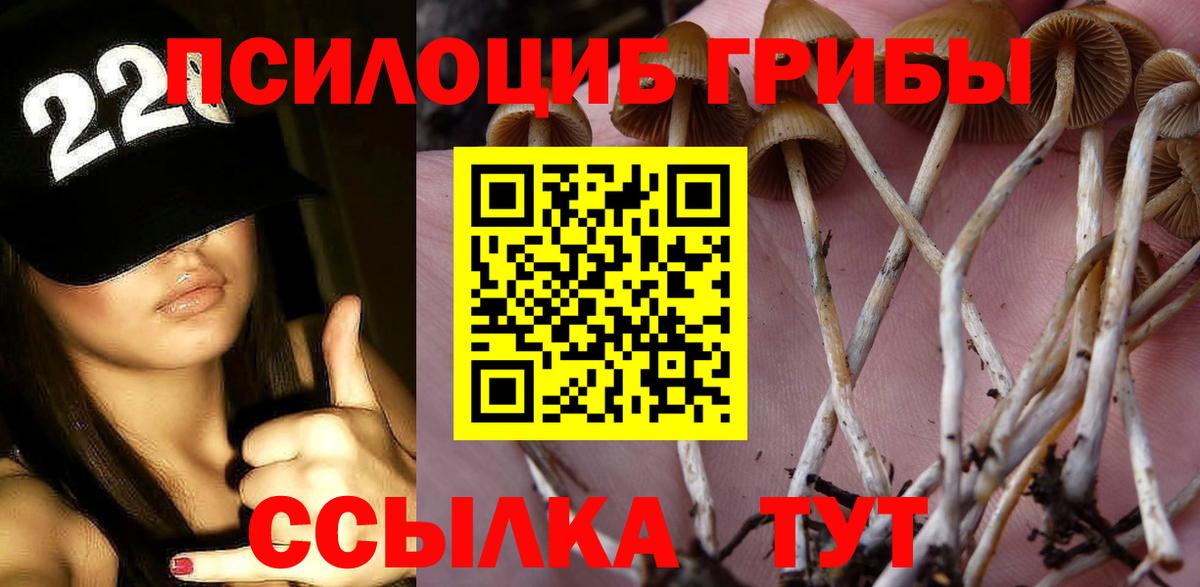 где купить   Вход с VPN  Мелеуз  Галлюциногенные грибы MAGIC MUSHROOMS 